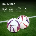 10139V F1.webp