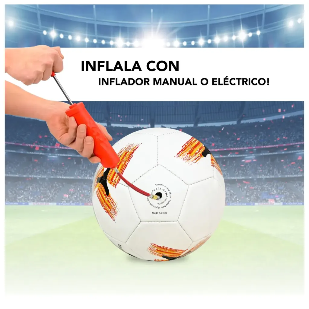 Ficha 3.webp